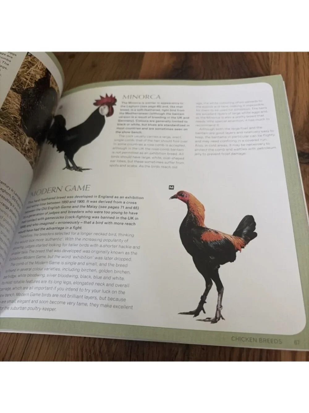 Keeping Chickens : Getting the Best from Your Chickens by Jeremy Hobson and...